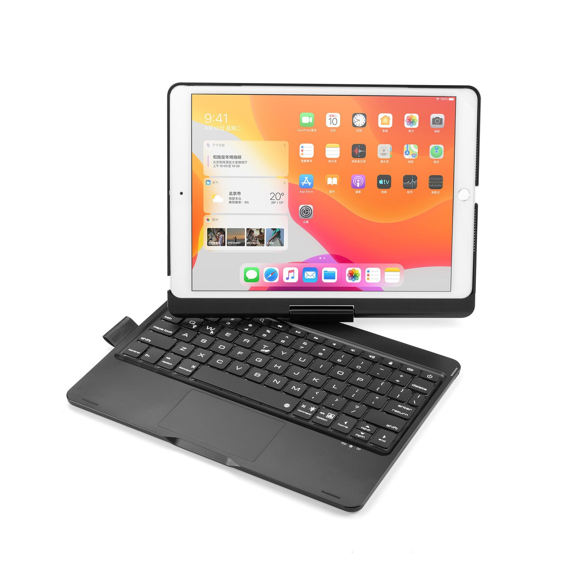 Ipad FlexiCase